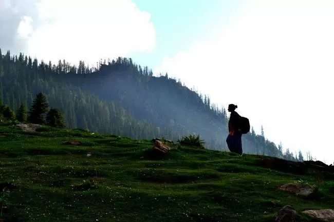 Photo of खीरगंगा नेशनल पार्क, Kullu, Himachal Pradesh, India by Rishabh Dev