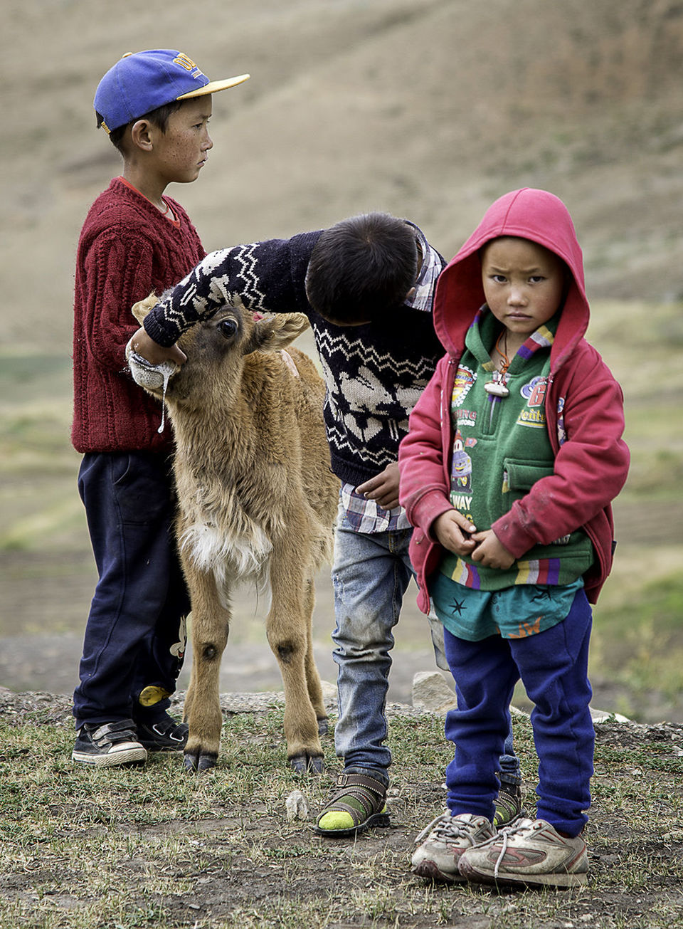 Photo of चिचम, Himachal Pradesh, India by Musafir Rishabh