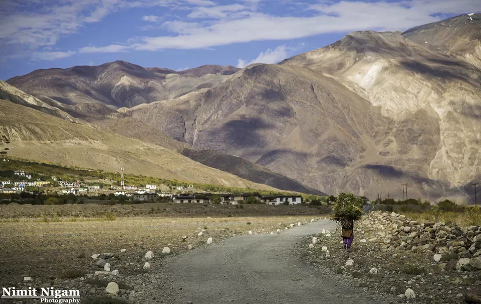 Photo of हिक्किम, Himachal Pradesh, India by Rishabh Dev