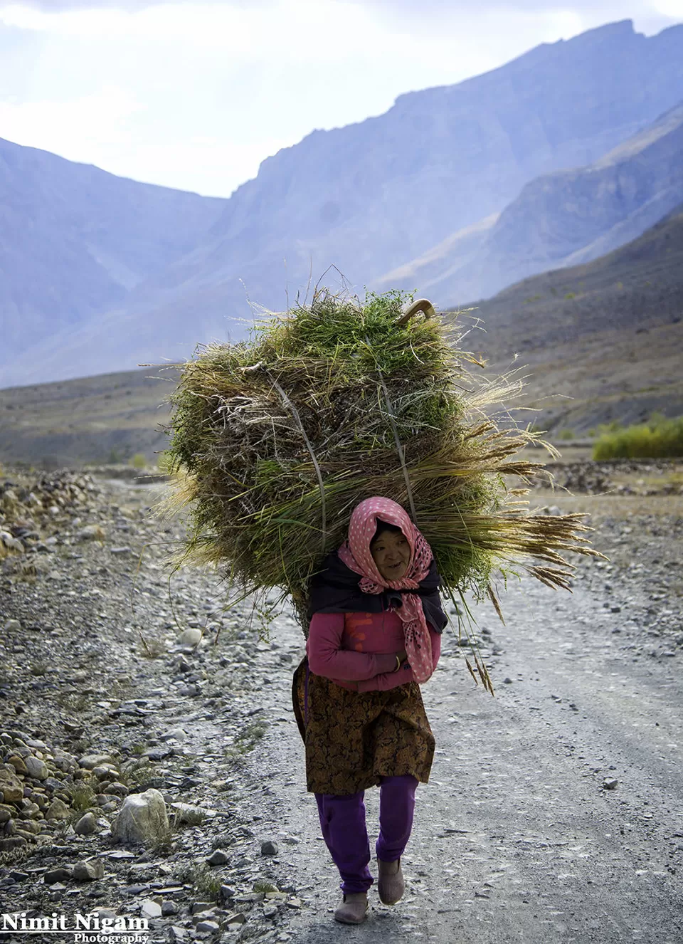 Photo of हिक्किम, Himachal Pradesh, India by Rishabh Dev
