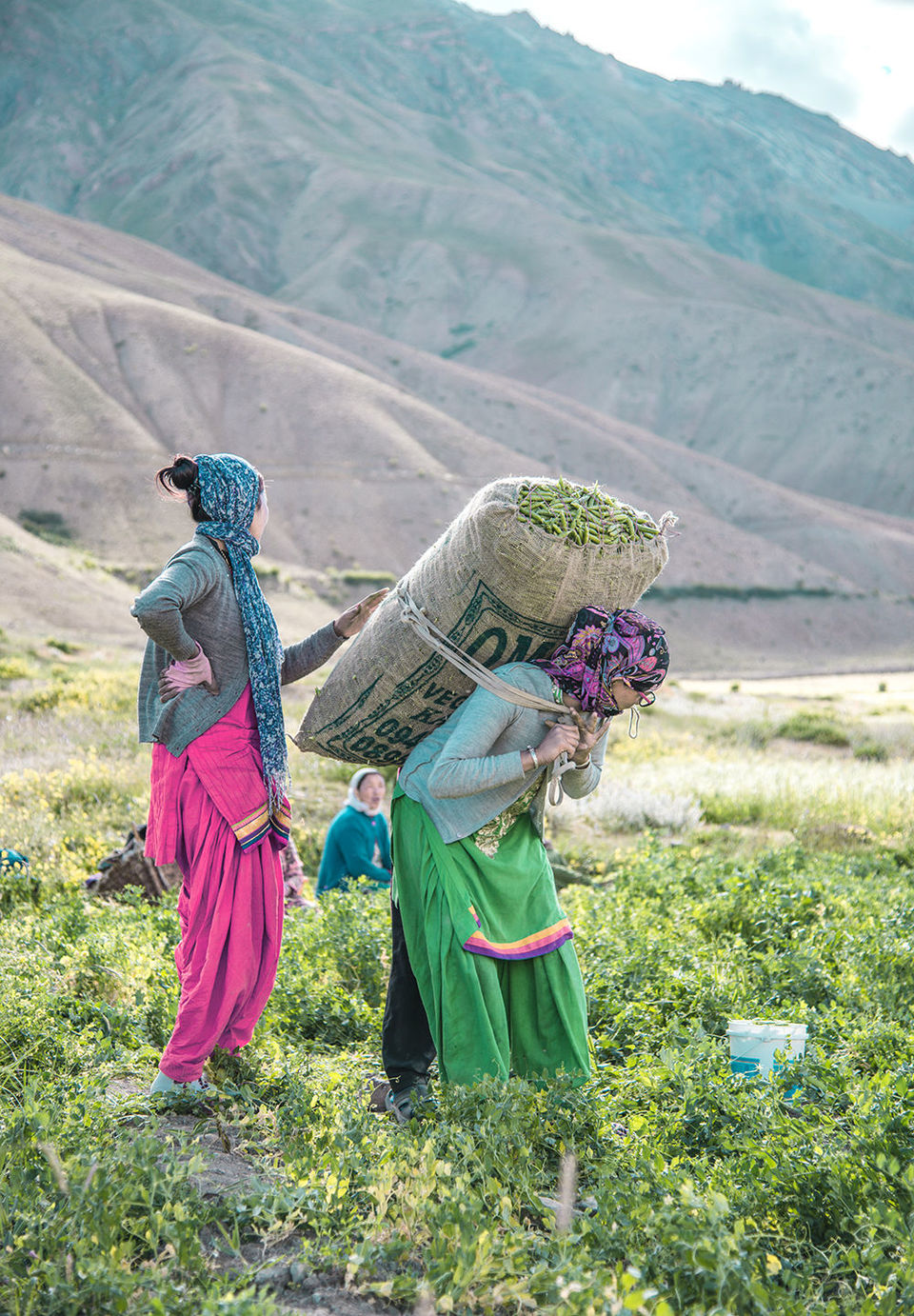 Photo of स्पीति कितना खूबसूरत है ये इस टाइमलैप्स वीडियो को देखकर समझ आता है by Musafir Rishabh