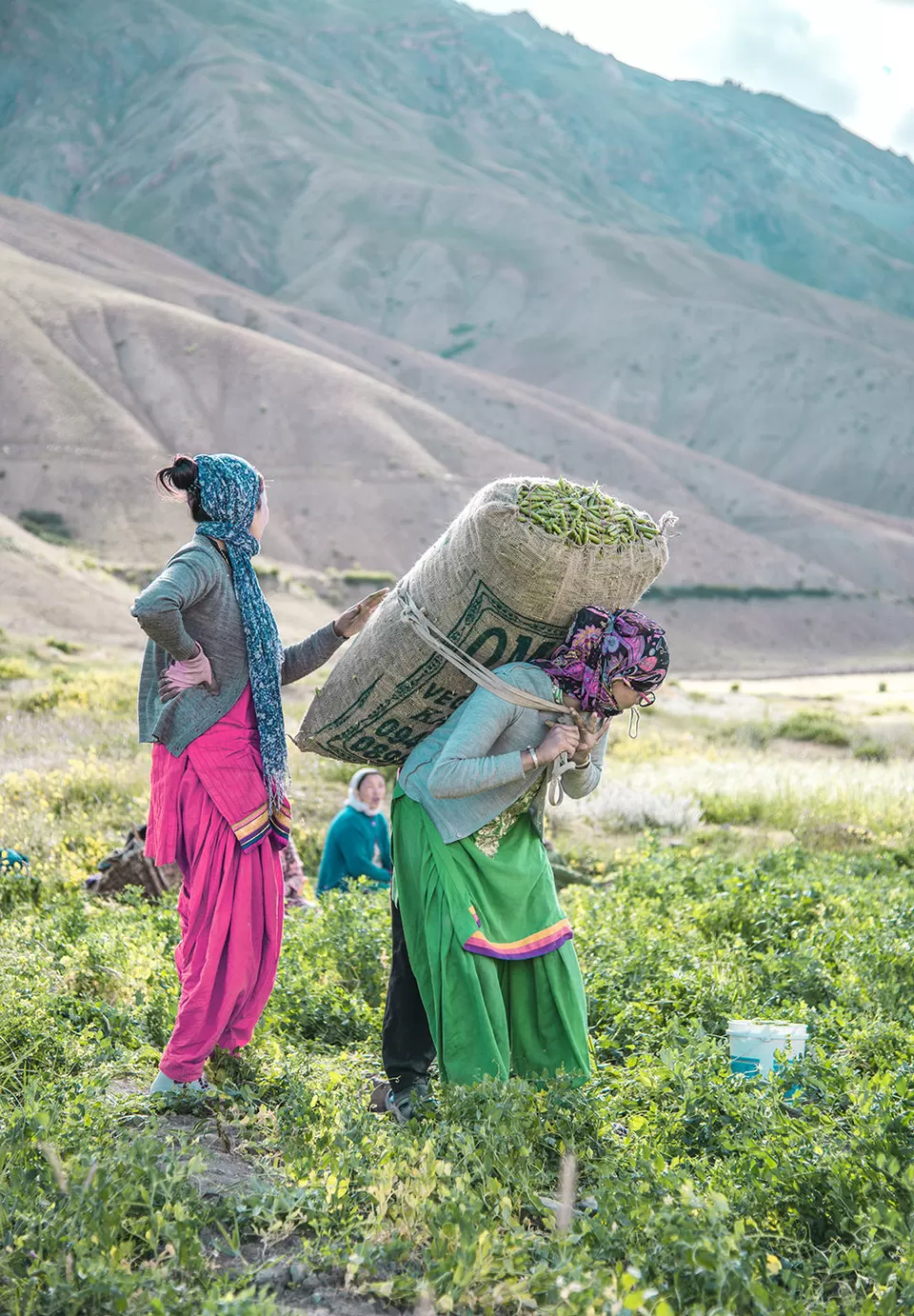 Photo of स्पीति कितना खूबसूरत है ये इस टाइमलैप्स वीडियो को देखकर समझ आता है by Rishabh Dev
