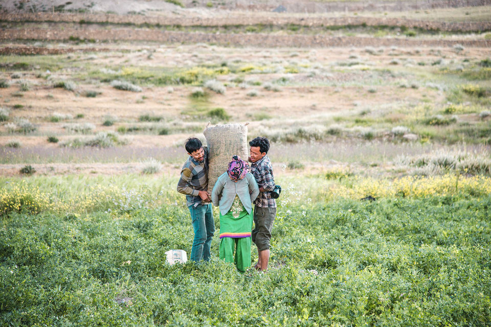 Photo of स्पीति कितना खूबसूरत है ये इस टाइमलैप्स वीडियो को देखकर समझ आता है by Musafir Rishabh