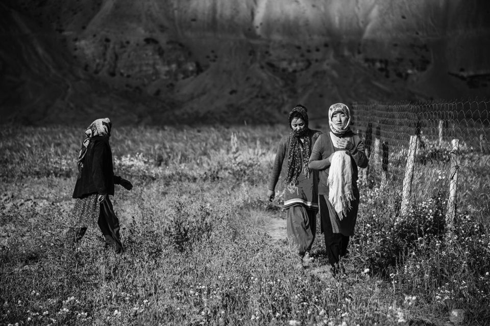 Photo of स्पीति कितना खूबसूरत है ये इस टाइमलैप्स वीडियो को देखकर समझ आता है by Musafir Rishabh