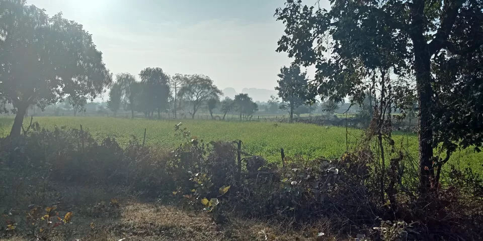 Photo of रानेह जल प्रपात, Raneh Falls Road, Dhoguwan, Madhya Pradesh, India by Rishabh Dev