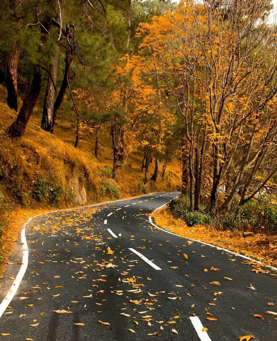 Photo of कौसानी, Uttarakhand, India by Rishabh Dev