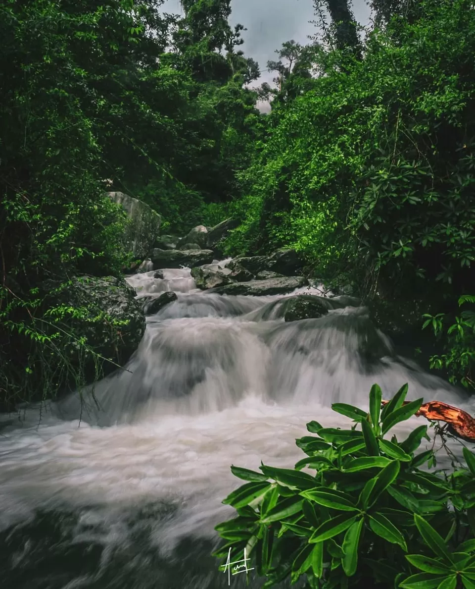Photo of ग्वालदाम, Uttarakhand, India by Rishabh Dev