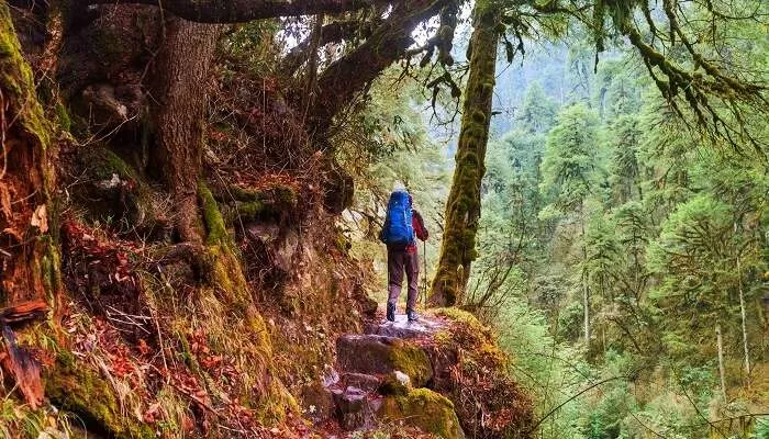 Photo of उत्तराखंड, India by Rishabh Dev
