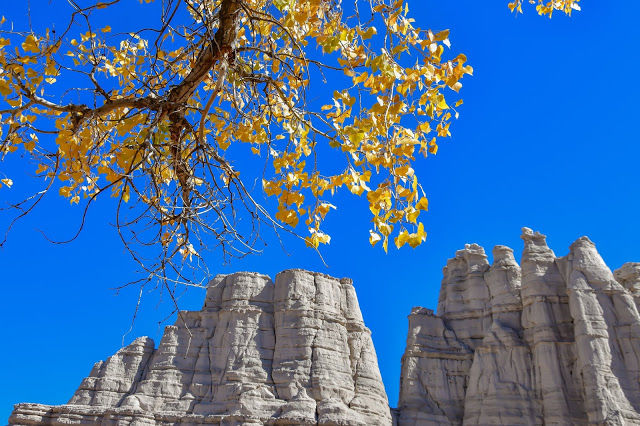 Photo of Top Places To Visit in Southwest by Thomas Dodge's Great Southwest