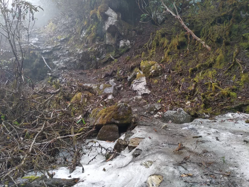 Photo of Tshoka Trekker's Hut, Sikkim, India by Rahul Nath