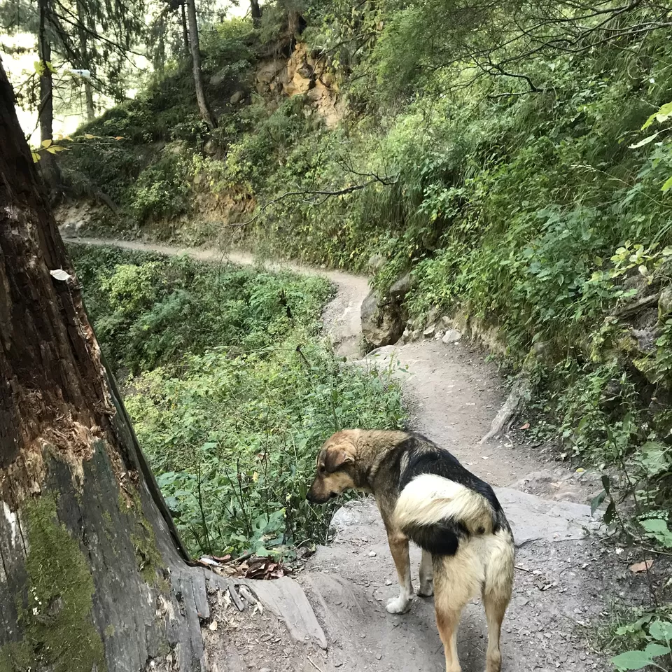 Photo of Kheer Ganga Trek, Khir Ganga, Himachal Pradesh, India by Rahul Nath