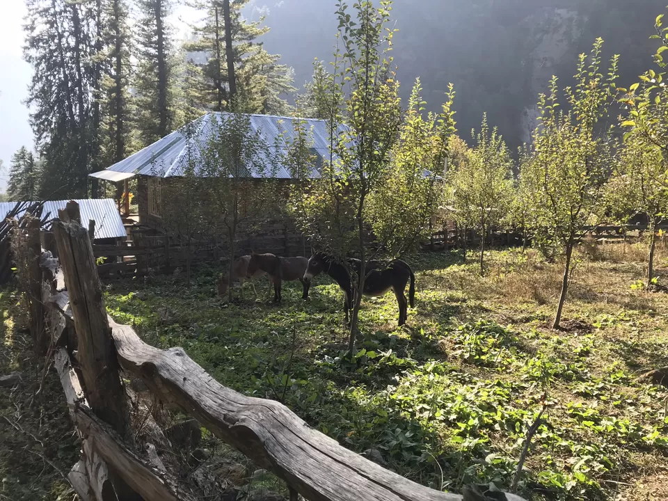 Photo of Kutla, Himachal Pradesh, India by Rahul Nath
