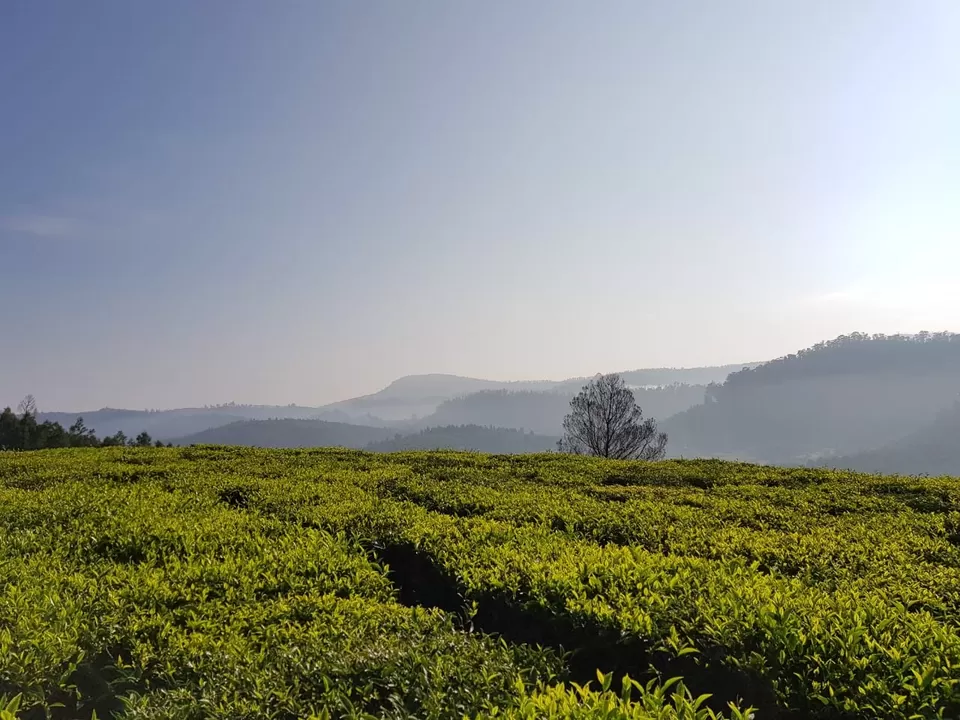 Photo of Ooty, Tamil Nadu, India by Azhar Ali Farooqi