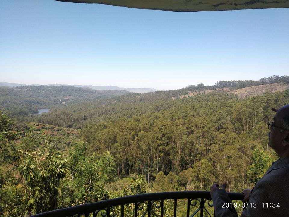 Photo of Kodaikanal Pine Forest, Kodaikanal Ghat Road, Shenbaganur, Kodaikanal, Tamil Nadu, India by Azhar Ali Farooqi