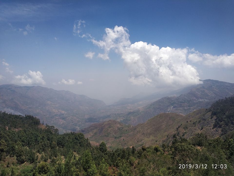 Photo of Kodaikanal Pine Forest, Kodaikanal Ghat Road, Shenbaganur, Kodaikanal, Tamil Nadu, India by Azhar Ali Farooqi
