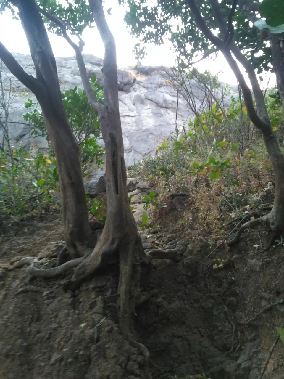 Photo of Harishchandragad, Maharashtra by Harshad Wagh