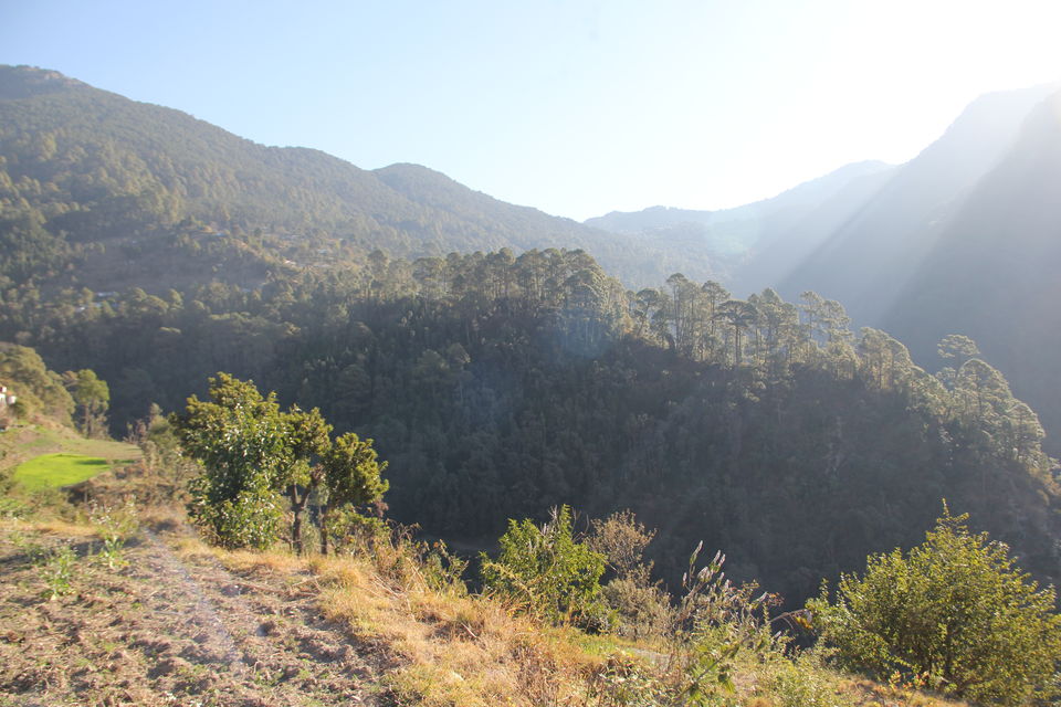 Photo of Pangot, Uttarakhand, India by varun papneja