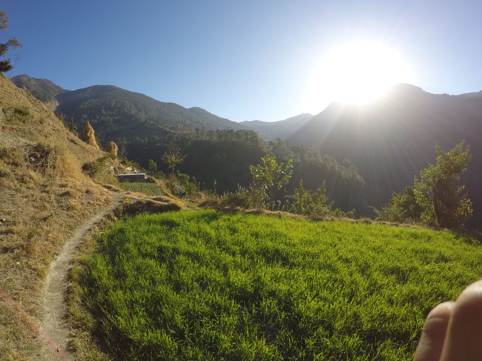 Photo of Pangot, Uttarakhand, India by varun papneja