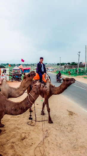 Photo of A Solo Journey to Rajasthan by Danish Rajput