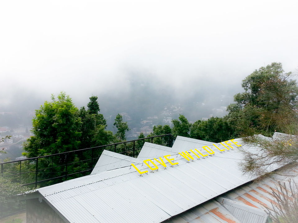Photo of A Trip Across Silent City Nainital by Patrick Rajput