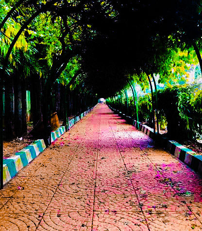 Photo of New Experíences, Memoríes, and Místakes in Bengaluru by Patrick Rajput