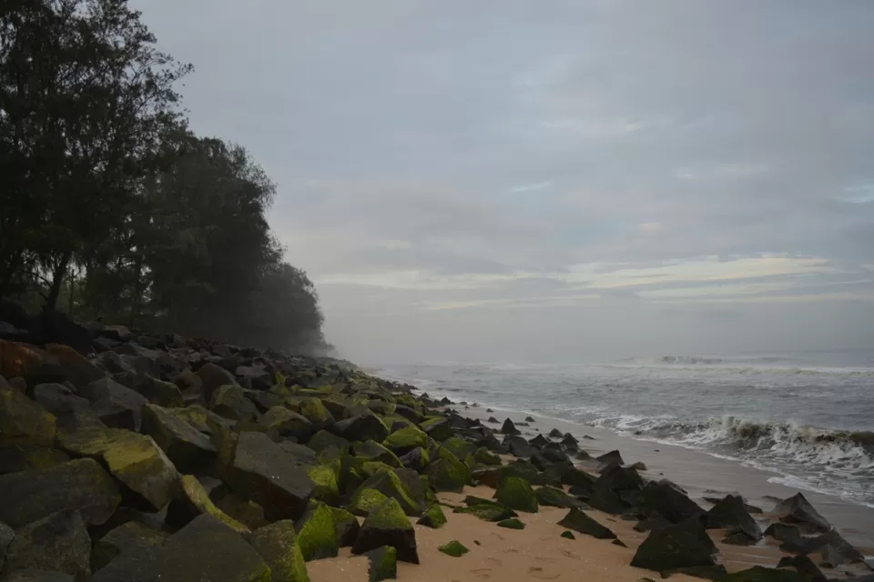 Photo of Coastal trail of South Indian Beaches by arunchand kasukurthi