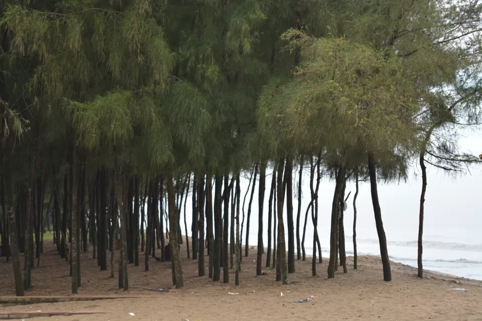 Photo of Coastal trail of South Indian Beaches by arunchand kasukurthi