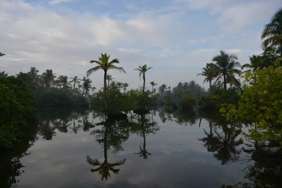 Photo of Coastal trail of South Indian Beaches by arunchand kasukurthi