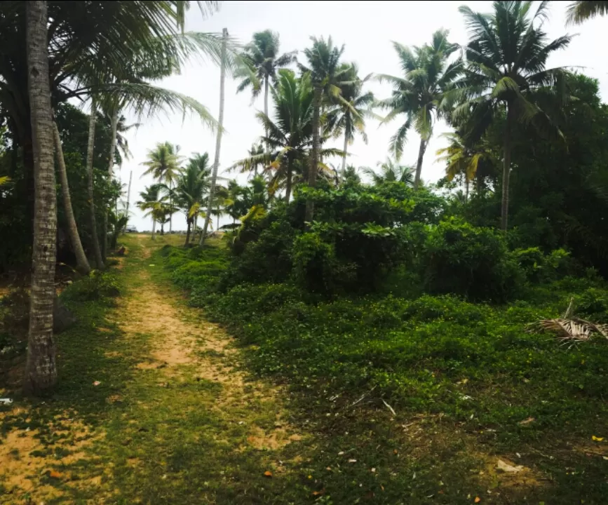Photo of Coastal trail of South Indian Beaches by arunchand kasukurthi