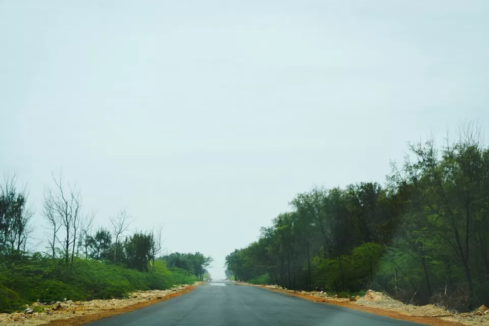 Photo of Coastal trail of South Indian Beaches by arunchand kasukurthi