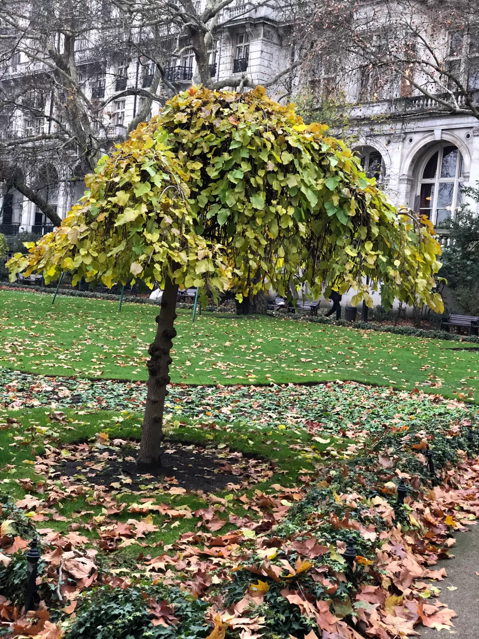 Photo of England by Ayushi