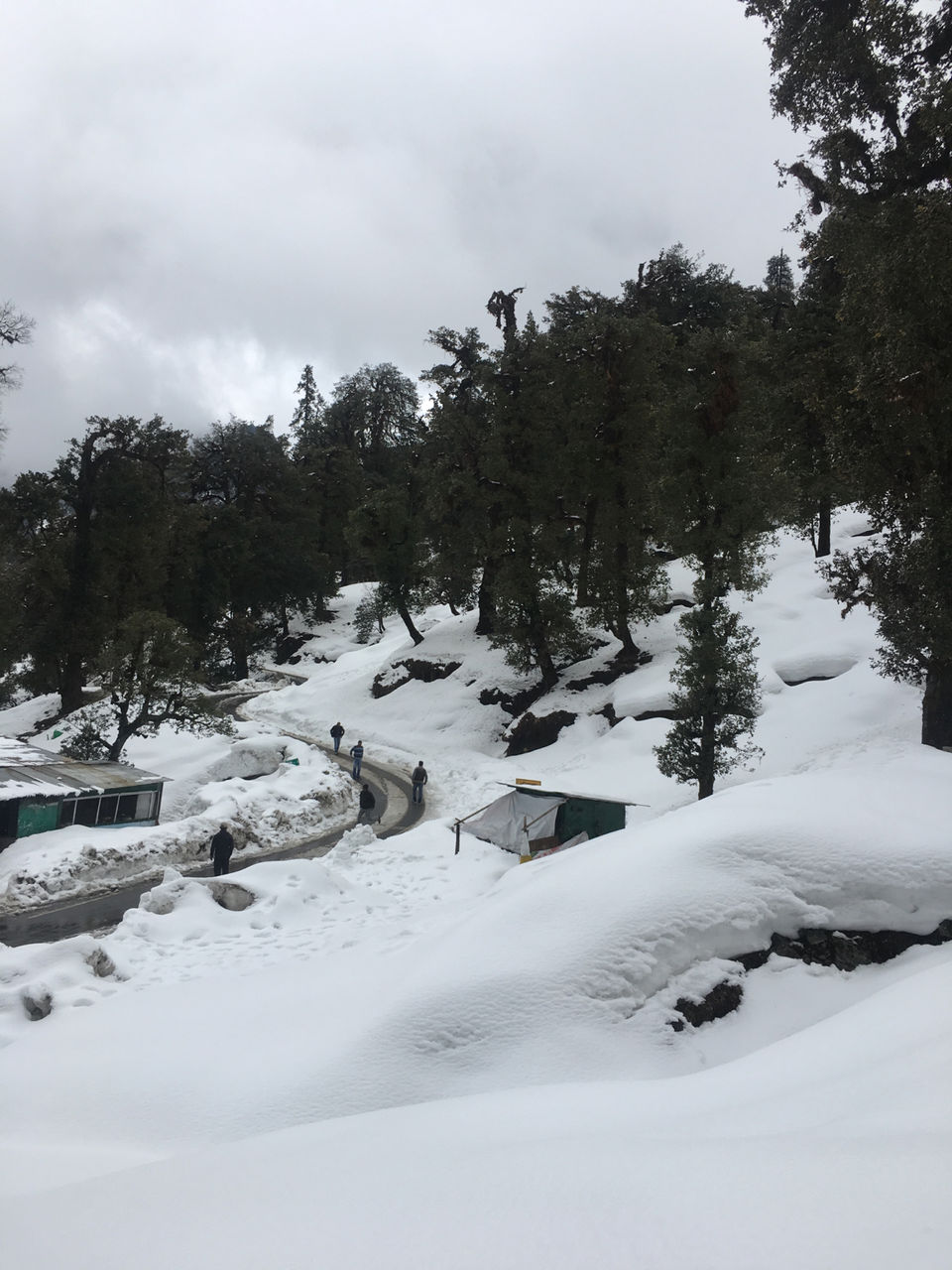 Photo of Chopta, Uttarakhand, India by Budget.Miles