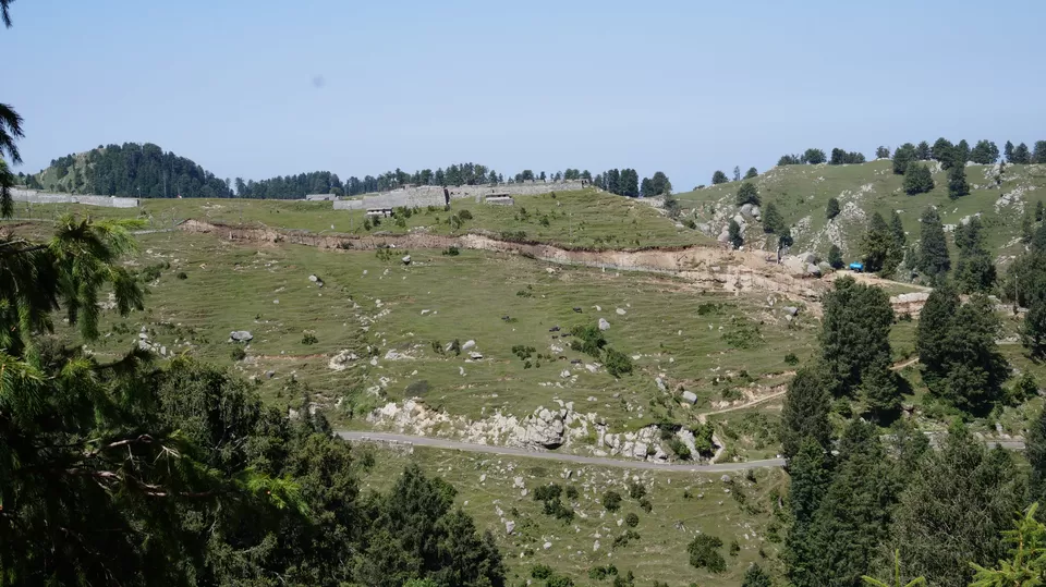 Photo of Dainkund Peak, Rakhed, Himachal Pradesh by Budget.Miles