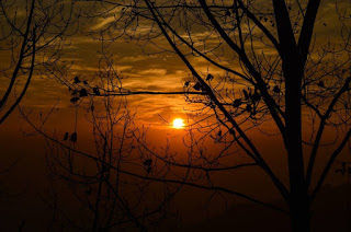 Photo of The Greatest Trip of my Life 5/10 by Rachit Pandey