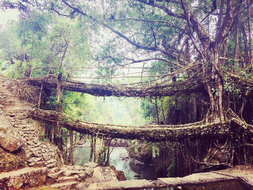 Photo of Meghalaya-Half Way To Heaven...#northeastphotos 2/15 by Aniket