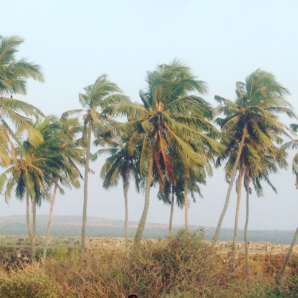Photo of This is the way i did Malvan under 5k. 10/13 by Aniket