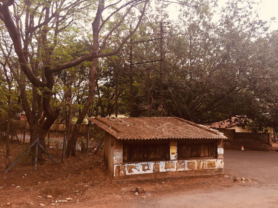 Photo of Majestic dandeli. 1/16 by Aniket