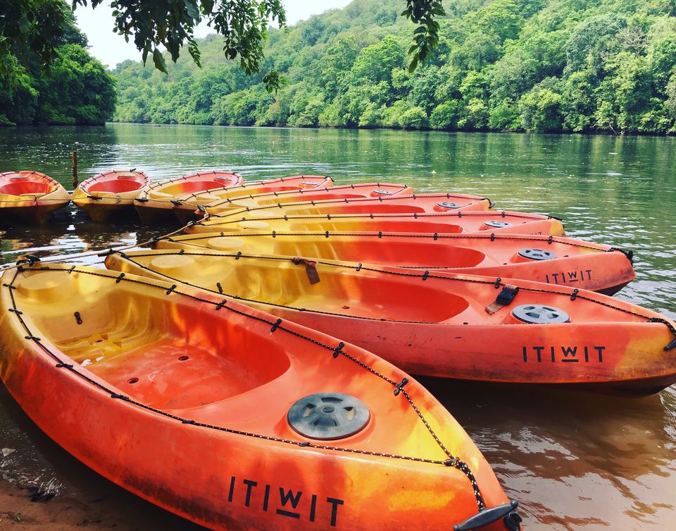 Photo of Majestic dandeli. 4/16 by Aniket