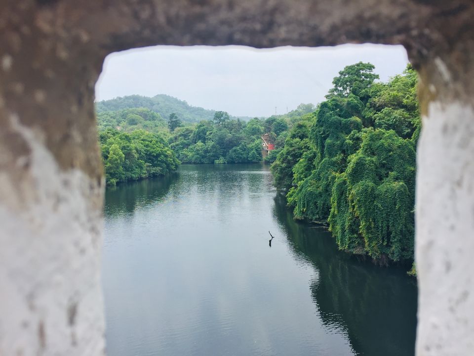 Photo of Majestic dandeli. 7/16 by Aniket