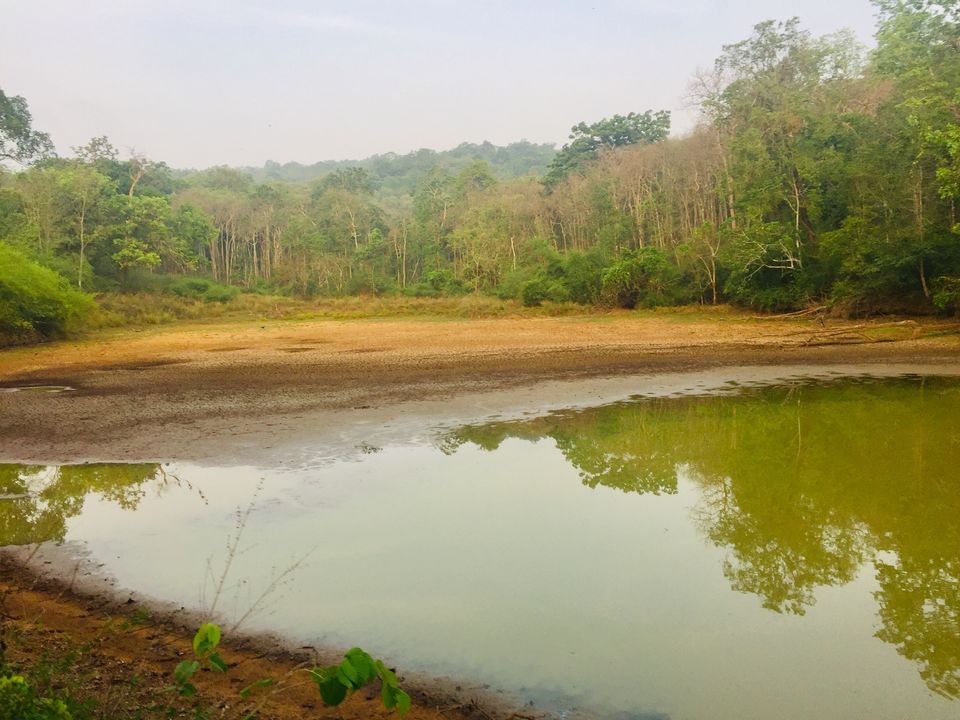 Photo of Majestic dandeli. 11/16 by Aniket