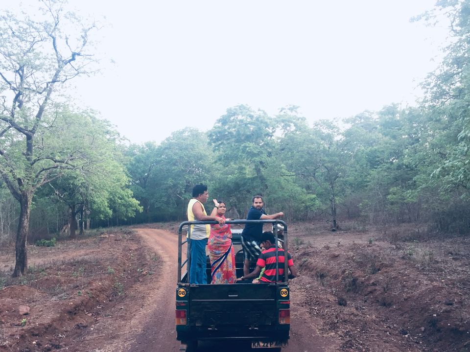 Photo of Majestic dandeli. 12/16 by Aniket