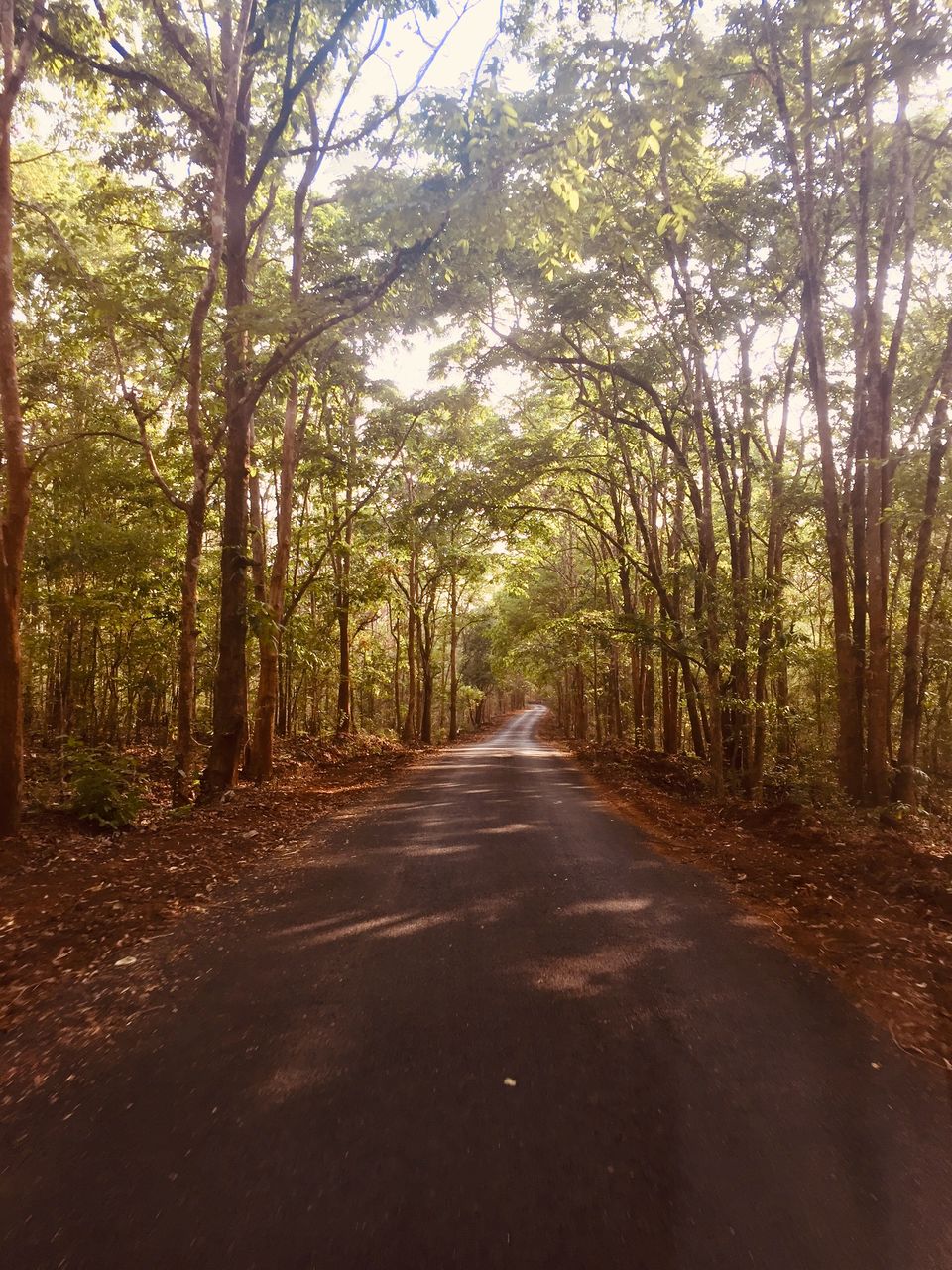 Photo of Majestic dandeli. 14/16 by Aniket