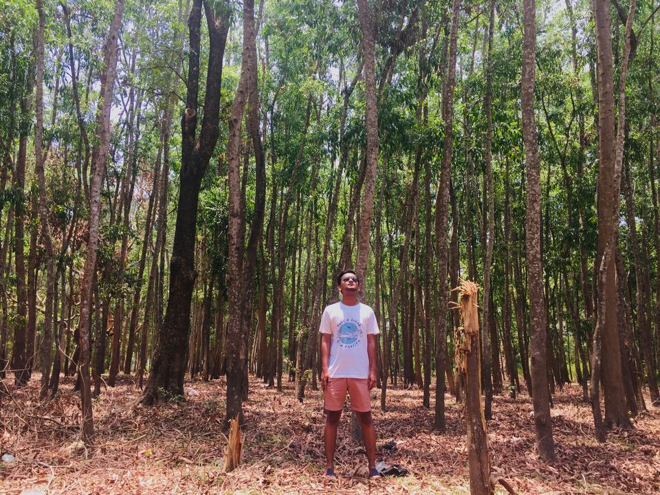 Photo of Majestic dandeli. 16/16 by Aniket