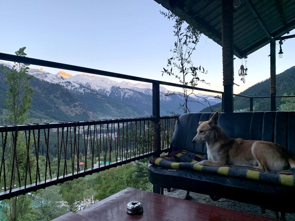 Photo of Stayers Hostel and Cafe, opposite hill of Rockys Cafe, Old Manali, Manali, Himachal Pradesh, India by juhi.chokshi