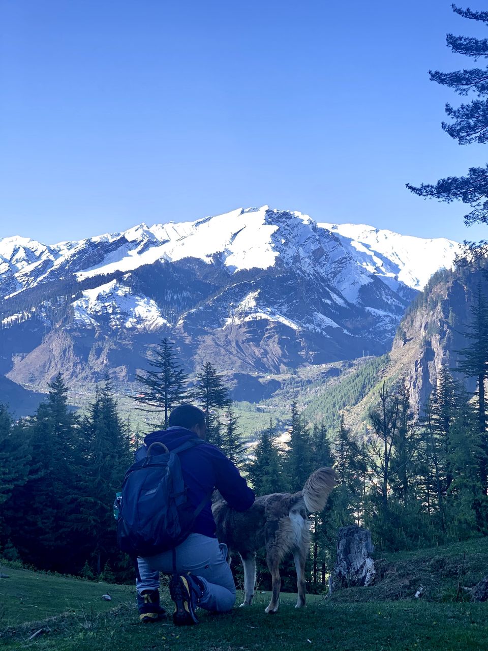 Photo of Shifting to Himachal : My experiences of working from mountains, exploring offbeat Manali and more ! by juhi.chokshi