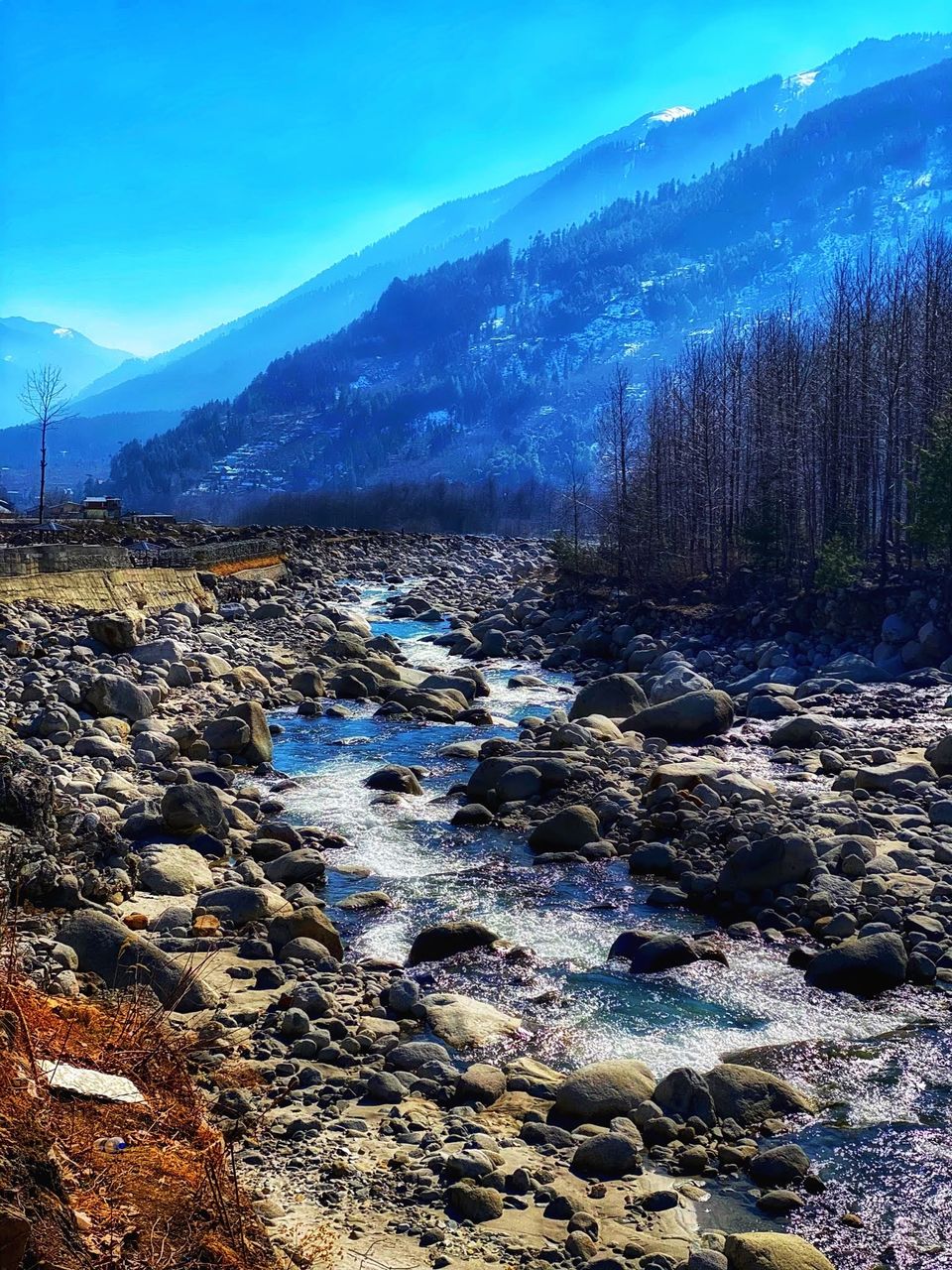 Photo of Old Manali, Manali, Himachal Pradesh, India by juhi.chokshi