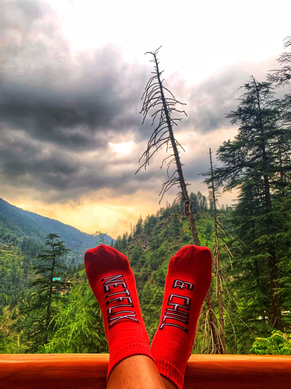 Photo of Shifting to Himachal : My experiences of working from mountains, exploring offbeat Manali and more ! by juhi.chokshi