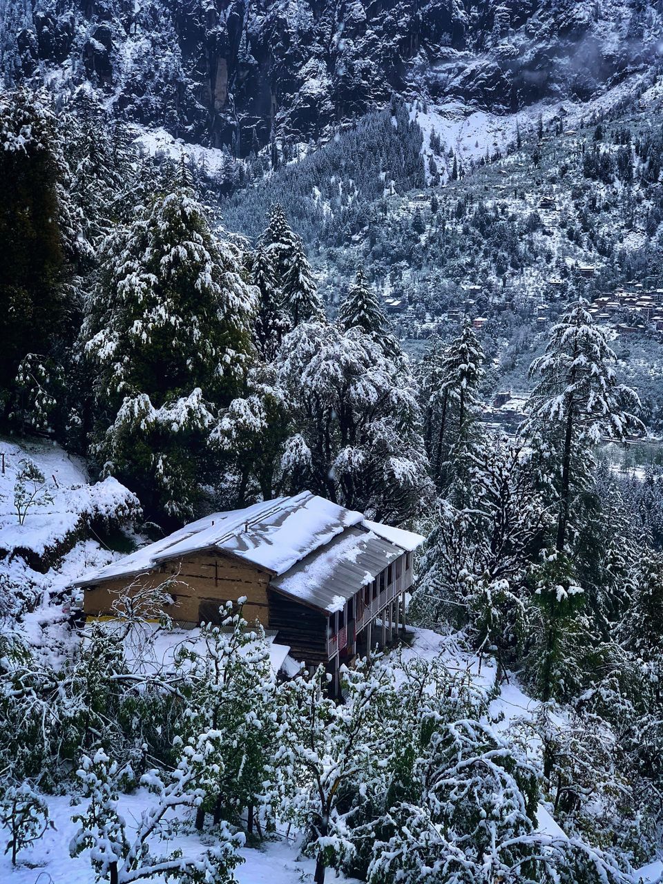Photo of Shifting to Himachal : My experiences of working from mountains, exploring offbeat Manali and more ! by juhi.chokshi