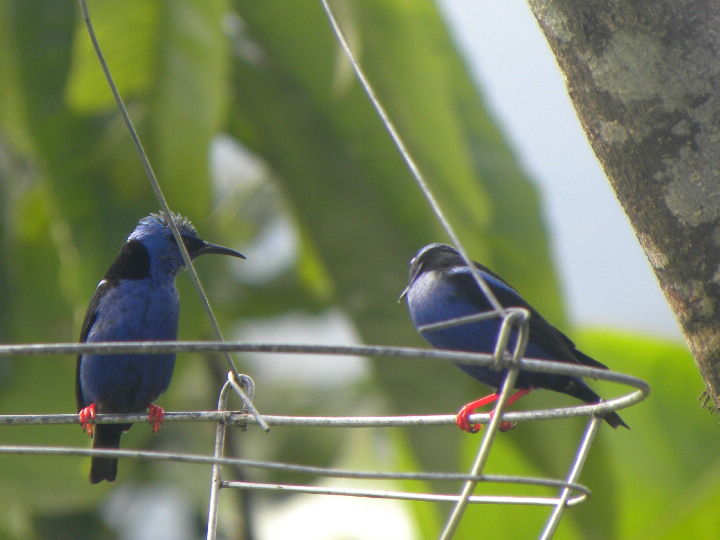 Photo of Feeling ripped off in La Fortuna, Costa Rica 5/9 by Frank