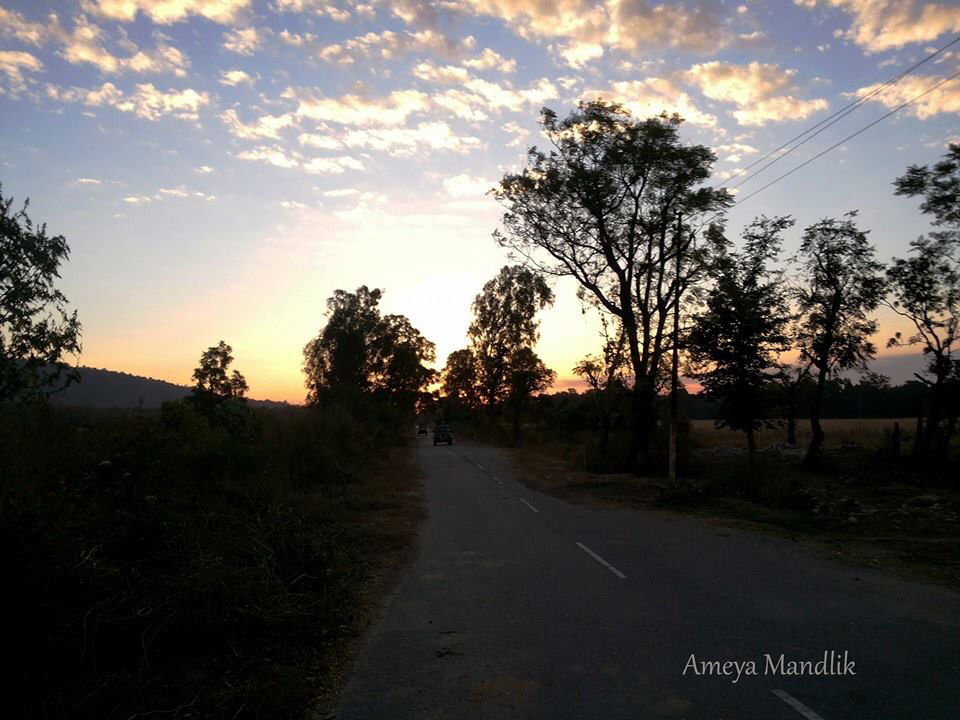 Photo of Jim Corbett National Park, Ramnagar, Uttar Pradesh, India by Ameya Mandlik